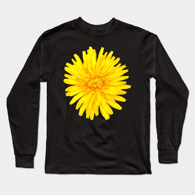 Dandelion Taraxacum officinale  brilliant yellow wildflower with shades of red Long Sleeve T-Shirt by Artonmytee